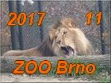 Brno 11-2017